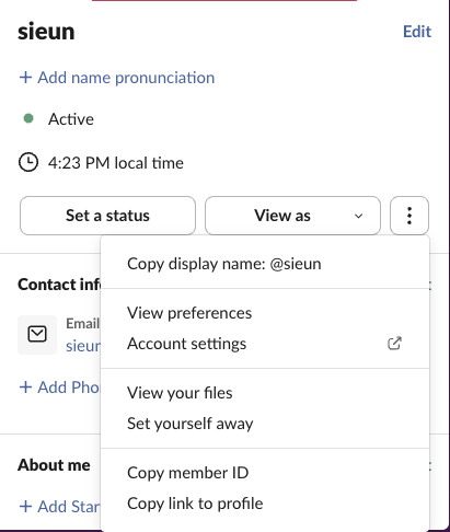 A Slack profile with the three-dot menu open, showing Copy display name, View preferences, Account settings, View your files, Set yourself away, Copy member ID and Copy link to profile