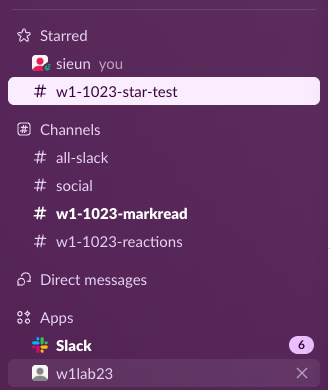 Slack sidebar Starred section holding the DM sieun you and the channel w1-1023-star-test, with Channels and Direct messages below it and the Direct messages list now empty