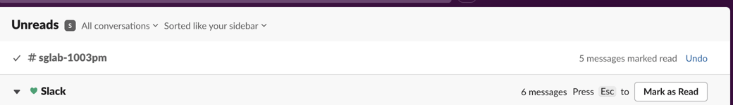 Unreads view after Esc: #sglab-1003pm collapsed with a check mark, 5 messages marked read, Undo; the next conversation below shows Press Esc to Mark as Read