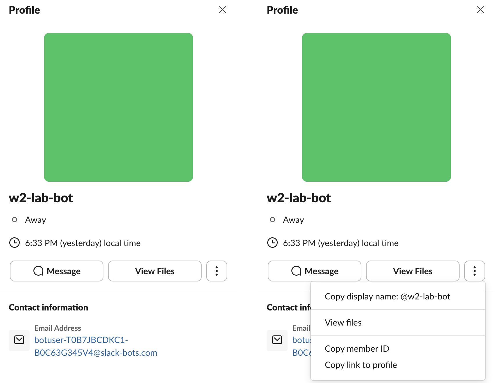 The test bot's profile in Slack: email botuser-T0B7JBCDKC1-B0C63G345V4@slack-bots.com, and the More menu with Copy member ID