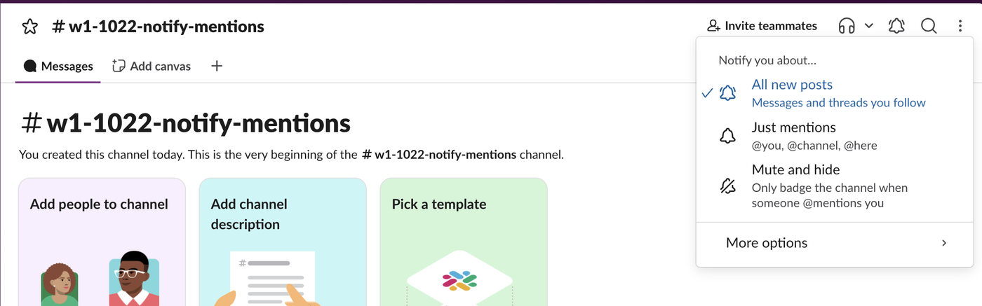 The bell menu at the top of a Slack channel. Notify you about: All new posts, ticked, messages and threads you follow; Just mentions, @you, @channel, @here; Mute and hide, only badge the channel when someone @mentions you; More options
