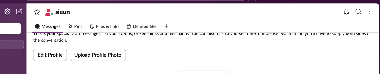 The tabs in a self-DM in Slack web: Messages, Pins, Files and links, Deleted file with a bin icon, and a plus button
