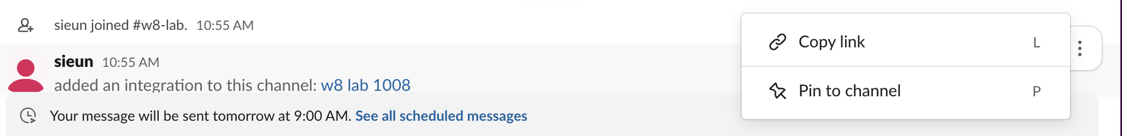 The More actions menu on the system line added an integration to this channel: only Copy link and Pin to channel