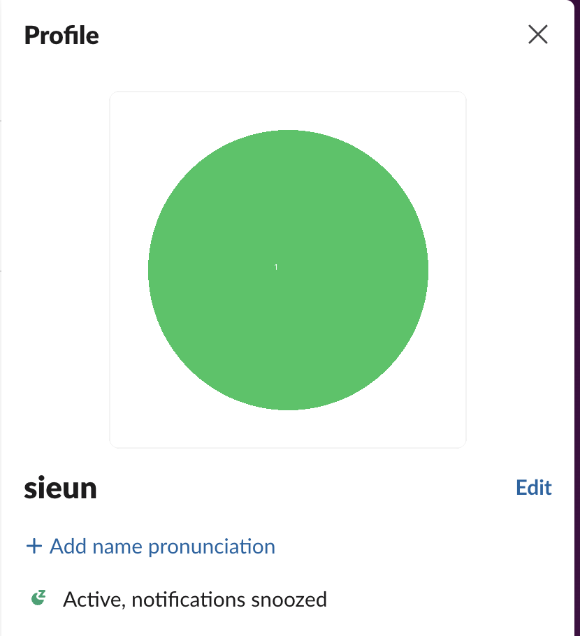 The Slack profile panel for our test account with the uploaded GIF as the photo. It shows one large still green circle above the name sieun, the status line Active, notifications snoozed, and Set a status and View as buttons