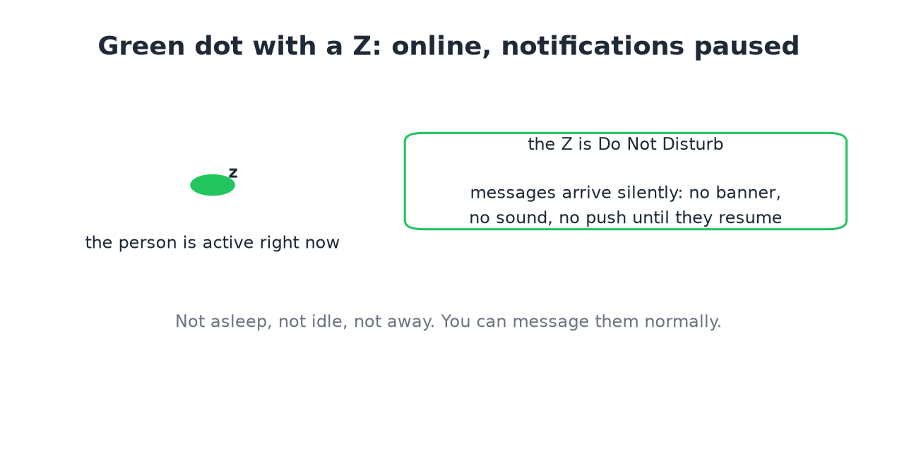 Green dot with a Z means active with Do Not Disturb on