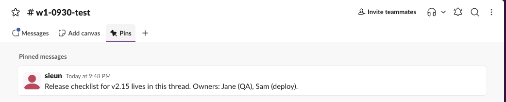 The Pins tab at the top of a Slack channel, listing one pinned message under the heading Pinned messages