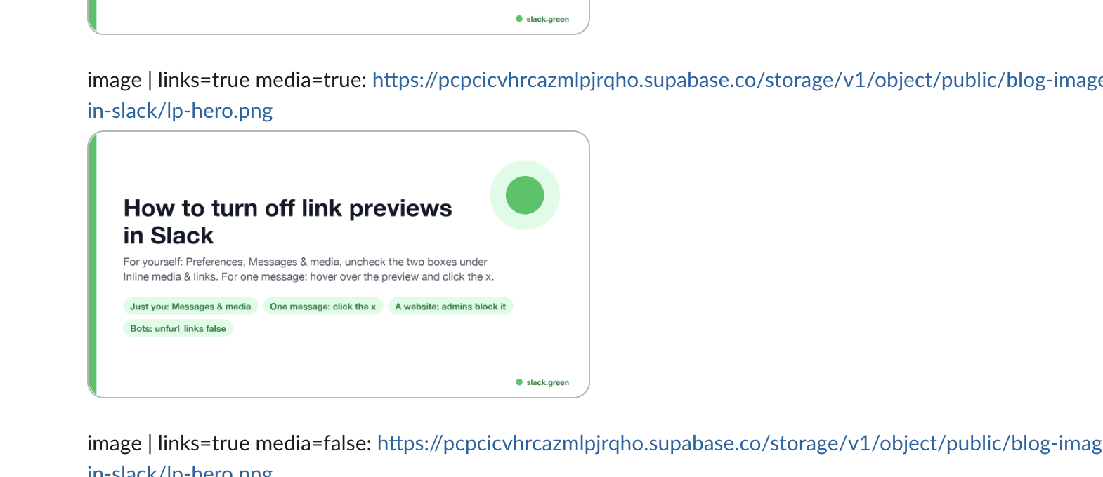 Bot messages with a direct image link: shown with both flags true, and no image when either flag is false