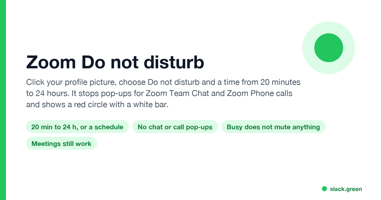 Zoom Do not disturb: 20 minutes to 24 hours or a schedule, no chat or call pop-ups, red circle with a white bar